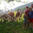 Rodinné farmy se staly součástí českého právního řádu