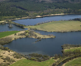 Týden v zemědělství podle Petra Havla – č. 38