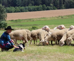 Venkovský kocour uvádí: Statek Horní Dvorce