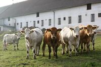 ASZ Krnovsko a Opavsko - Mladý region s nevšedními úspěchy ASZ Krnovsko a Opavsko - Mladý region s nevšedními úspěchy