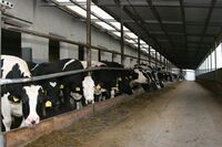 ASZ Krnovsko a Opavsko - Mladý region s nevšedními úspěchy ASZ Krnovsko a Opavsko - Mladý region s nevšedními úspěchy