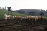 ASZ Krnovsko a Opavsko - Mladý region s nevšedními úspěchy ASZ Krnovsko a Opavsko - Mladý region s nevšedními úspěchy