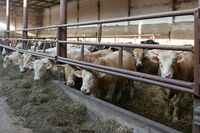 ASZ Krnovsko a Opavsko - Mladý region s nevšedními úspěchy ASZ Krnovsko a Opavsko - Mladý region s nevšedními úspěchy