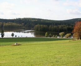 Týden podle PH č. 42 - 2021 (pH týdne: 5)