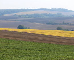 Týden podle PH č. 2 - 2022 (pH týdne: 9)