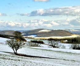 Týden podle PH č. 50 - 2021 (pH týdne: 6)