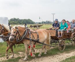 Selská krev - dokumentární série České televize o sedlácích z ASZ ČR