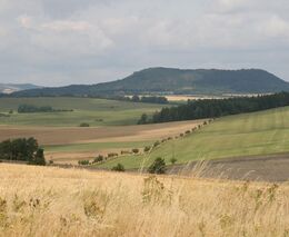 Týden podle PH č. 45 - 2021 (pH týdne: 6)