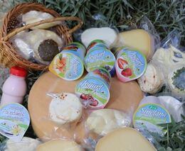 Týden podle PH č. 9 - 2021 (pH týdne: 4)