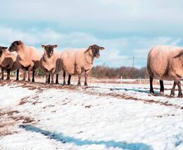 Týden podle PH č. 6 - 2022 (pH týdne: 7)