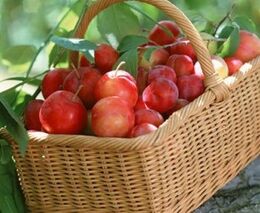 Týden podle PH č. 7 – 2022 (pH týdne: 8)