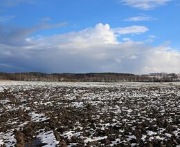 Týden podle PH č. 52 - 2021 (pH týdne: 7)