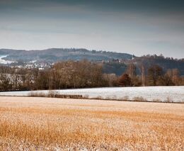 Týden podle PH č. 51 - 2021 (pH týdne: 5)